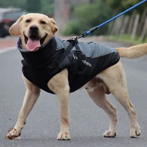 Manteau chien - PETSYBIG™