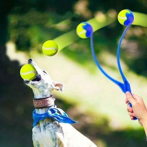 Jouet pour chien - Wouf'n'Go™ : le lanceur qui transforme les jeux