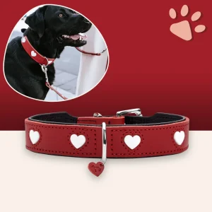 Collier en Cuir pour Chien - Hunter Love Rouge - M 41-49 cm | JuJuLoveCollar™