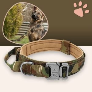 Collier Tactique pour Chien - Robustesse et Contrôle - Style Militaire | JuJuTactiKMilitaire™