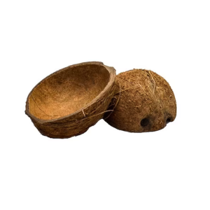 Demie noix de coco vide