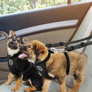 Double laisse pour chien - DuoSecur™ - La sécurité à double sens pour vos fidèles compagnons