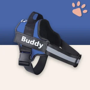 Harnais pour Chien Personnalisable - Anti-Traction SFP | JuJuCustomHarn™