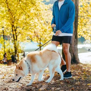 Laisse pour chien-RetracLeash™ : Sécurité et Liberté pour Vos Promenades