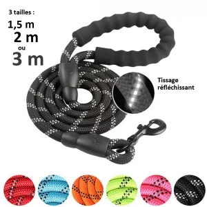 Laisse de dressage 1,5M 2M ou 3M