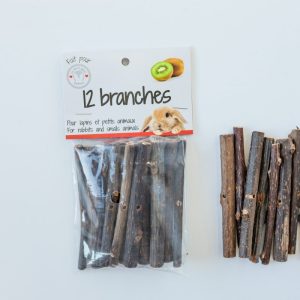 Branches (12) de kiwi – Par Les Petits Lapins d&rsquo;Amour