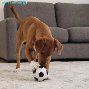 Balle pour Chien | JappyBounce™