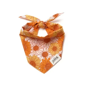 Bandana pour chien - Tournesol