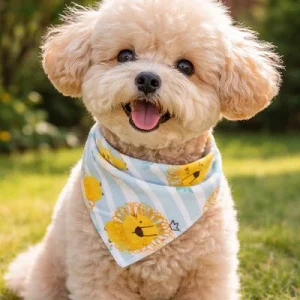 Bandana pour Chien | Élégant JappySunset Paw™