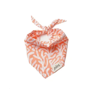 Bandana pour chien - Récif