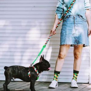 Laisse Longe Pour Chien Liberté Et Éducation En Toute Sécurité