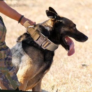 Collier Tactique Pour Chien Résistant Et Contrôle Renforcé