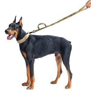 Laisse Pour Chien Élastique Tactique Contrôle Et Absorption Des Chocs