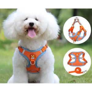 Harnais Anti-traction Respirant Pour Chien Confort Et Contrôle