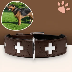 Collier en Cuir pour Chien - Hunter Swiss Marron (30-34 cm) | JuJuSwissCollar™