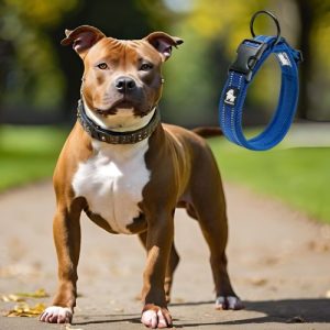 Collier chien - coloré - classique - unique : le compagnon parfait