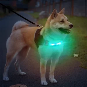 Collier Lumineux Chien – Sécurité, Visibilité Nocturne en tout temps