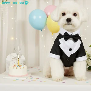 Déguisement Chien | ChienChic™