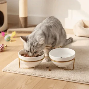 Gamelle chat surélevée | Double et ergonomique