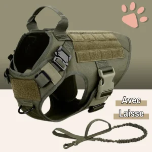 Harnais Tactique pour chien - Militaire, Dressage et Entrainement | JuJuHarnDress™