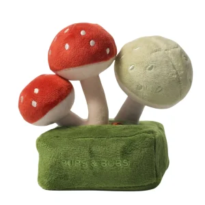 Jouet de fouille - Les champignons