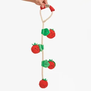 Jouet de fouille - Les tomates cerises