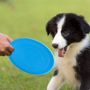 Jouet pour chien - type frisbee CaniJet™ - Le Jeu par excellence tout terrain