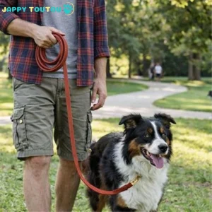 Longe pour Chien | JappyLongeLibre2™