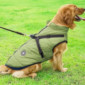 Manteau chien : Harnais Confort pour grand compagnon