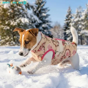 Manteau Chien | ImperHiverConfort™