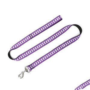 Laisse Multicolore Pour Chien Style Unique Et Confort Quotidien